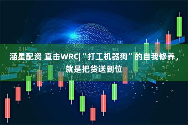 涵星配资 直击WRC|“打工机器狗”的自我修养，就是把货送到位